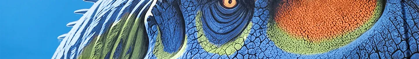 From the Director's Desk: AZMNH as a Hub of Discovery